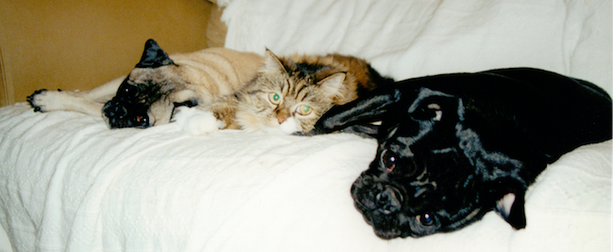 Screenshot_7_24_18__9_12_PM